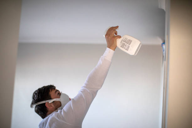 Mold Removal Process in St Augustine Shores, FL